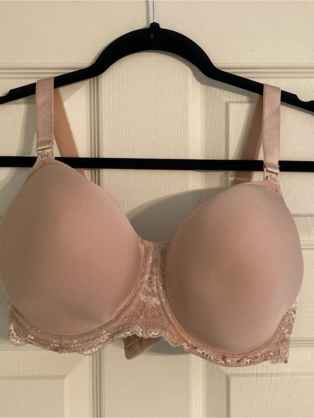 HOT MILK Padded Underwire Bra in Blush 32FF